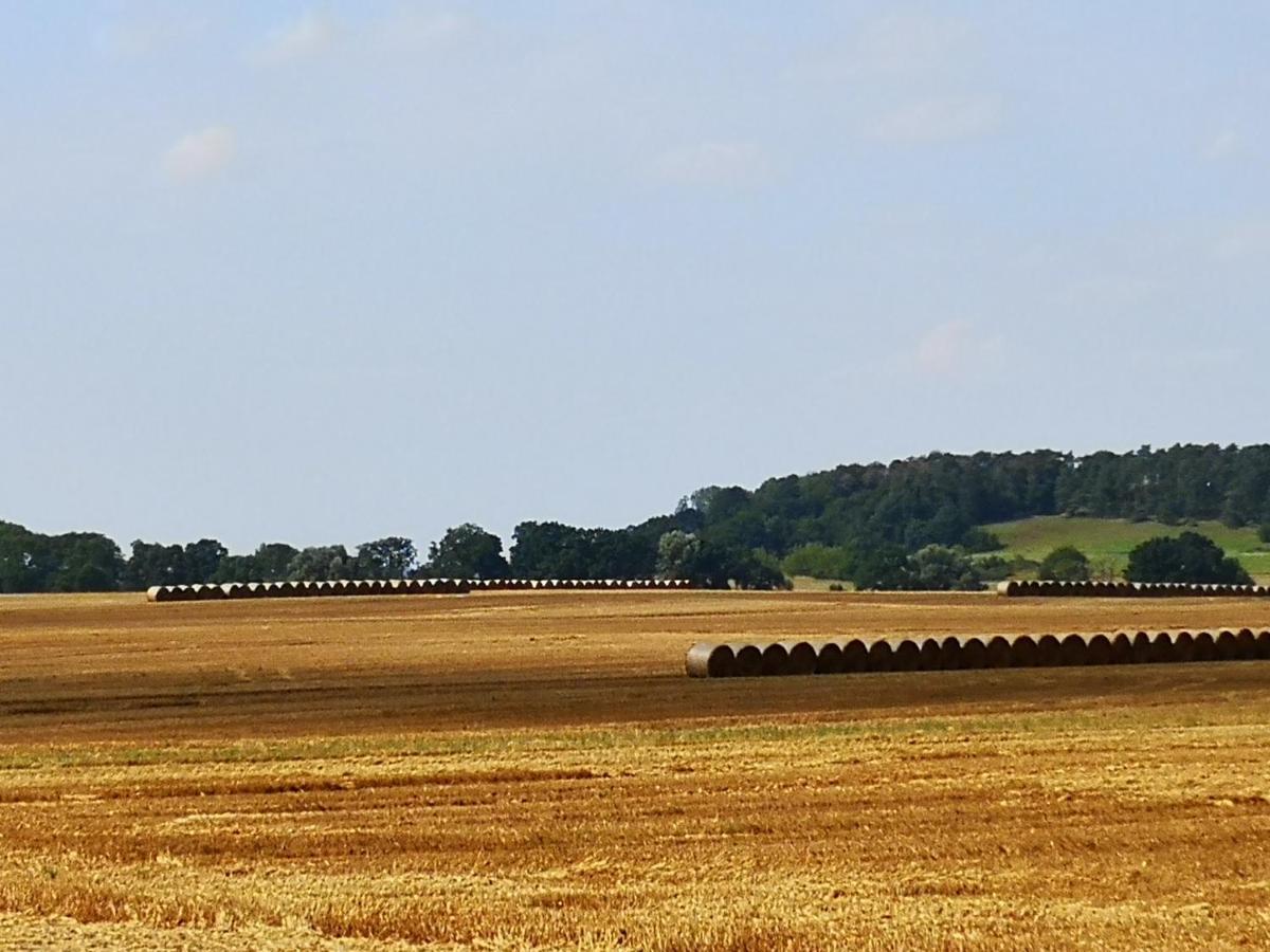 Bahnhof Hohen Mistorf Appartement Buitenkant foto